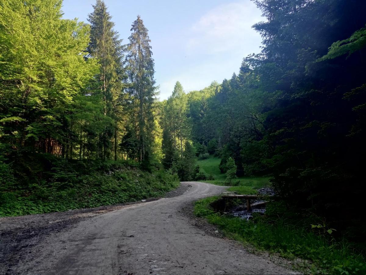 Dom W Gorach Przy Szlaku Villa Bystra  Dış mekan fotoğraf