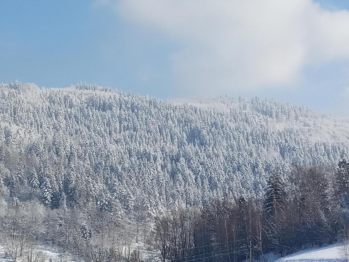 Dom W Gorach Przy Szlaku Villa Bystra  Dış mekan fotoğraf