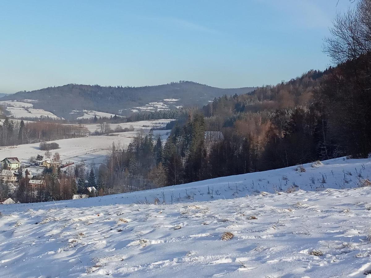 Dom W Gorach Przy Szlaku Villa Bystra  Dış mekan fotoğraf