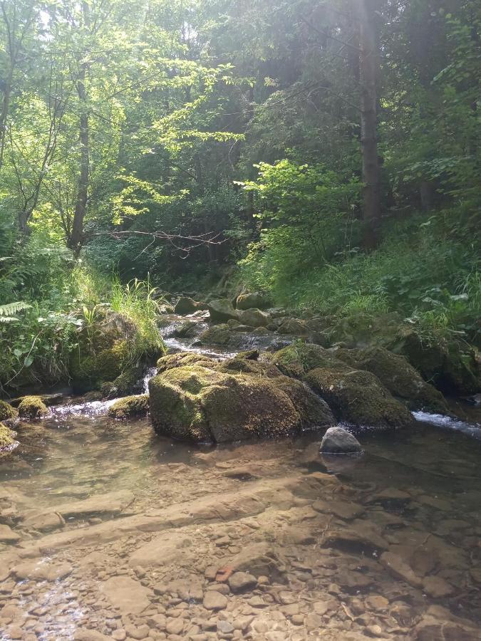 Dom W Gorach Przy Szlaku Villa Bystra  Dış mekan fotoğraf